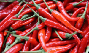 wellhealthorganic.com:red-chilli-you-should-know-about-red-chilli-uses-benefits-side-effects