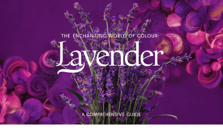 colour:cckmvfcmc3m= lavender History, Symbolism, and Modern Applications