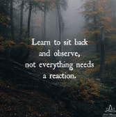Learn to Sit Back and Observe: Not Everything Needs Your Reaction