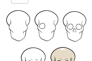 How to Draw a Skull: A Step-by-Step Guide for Artists